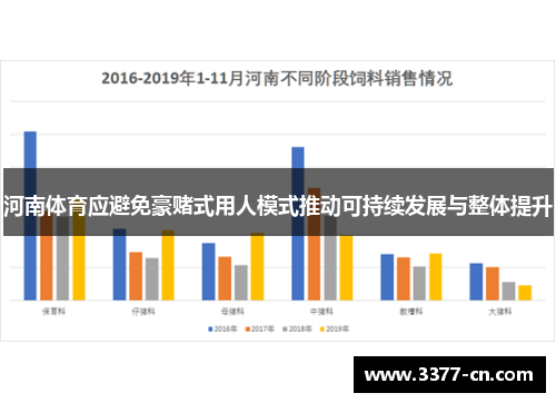 河南体育应避免豪赌式用人模式推动可持续发展与整体提升
